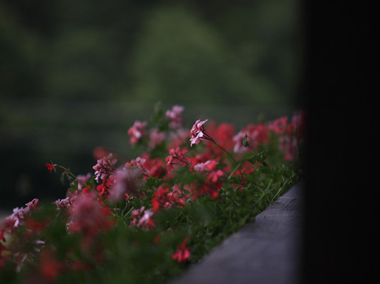 Gastehaus Hirscheck主图