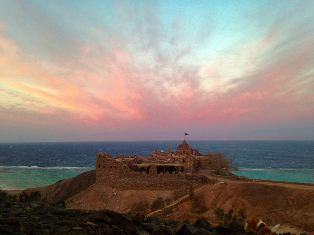 塔巴餐馆和美食-Castle Zaman