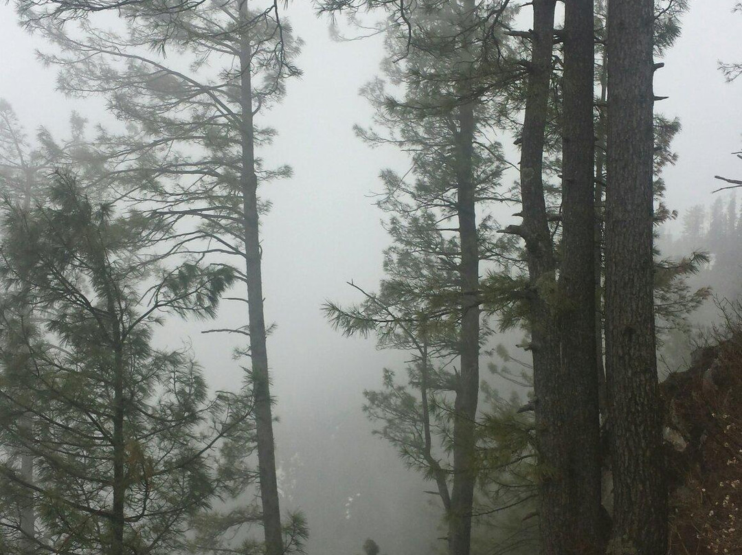 Thandiani-Khyber Pakhtunkhwa Province必去景点