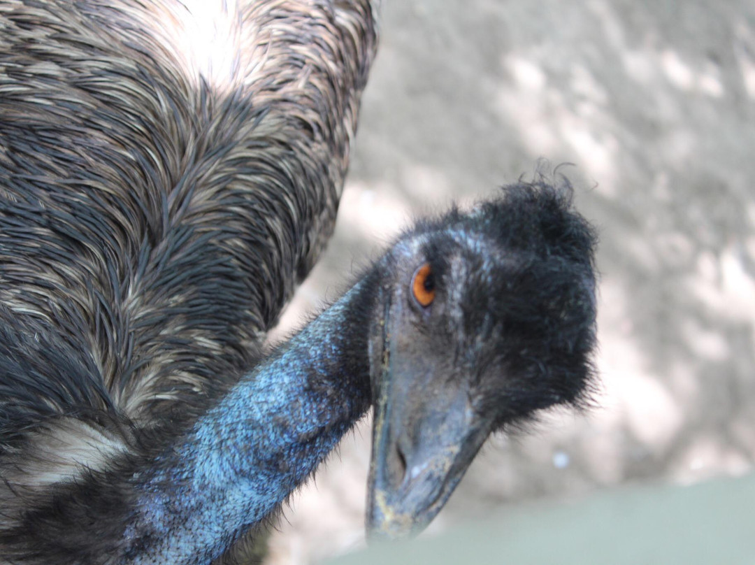 太原动物园-太原市必去景点