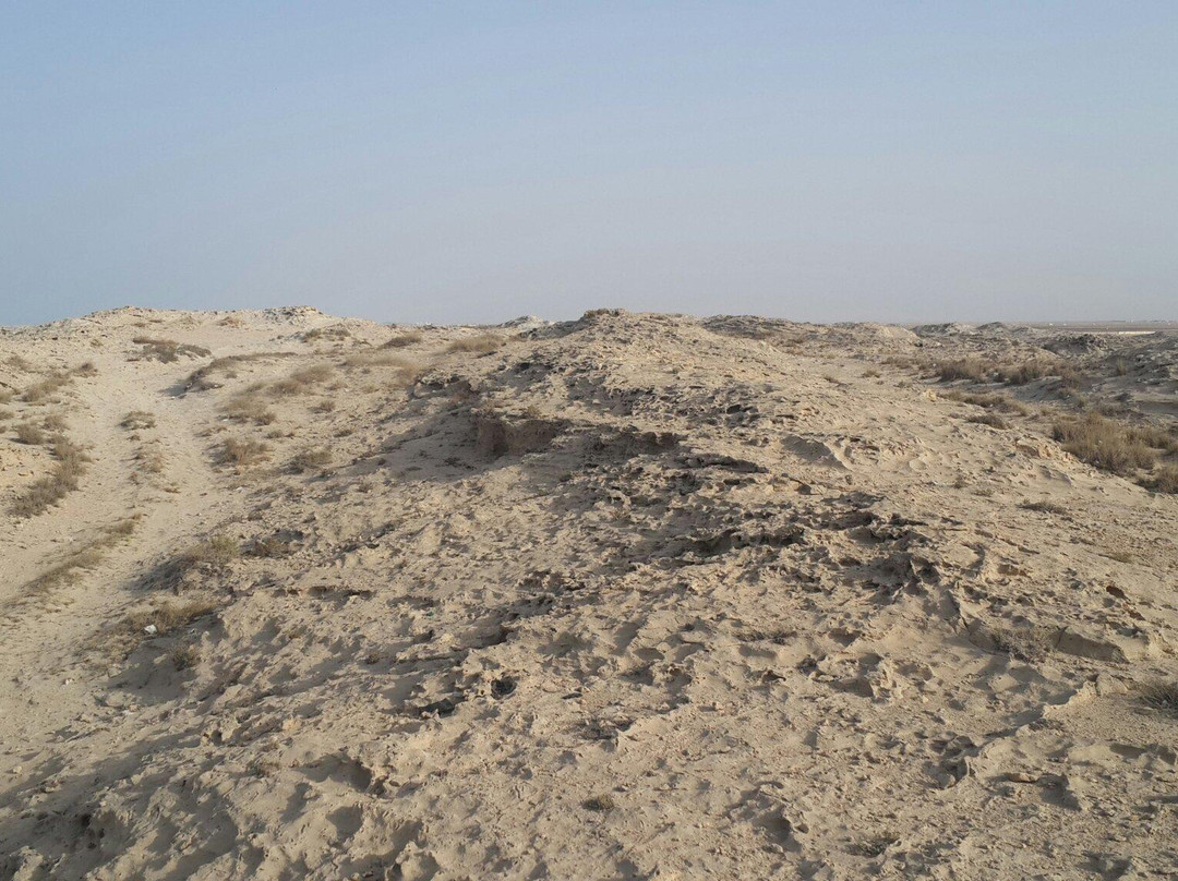 Al Ghariya Beach-Madinat Ash Shamal必去景点