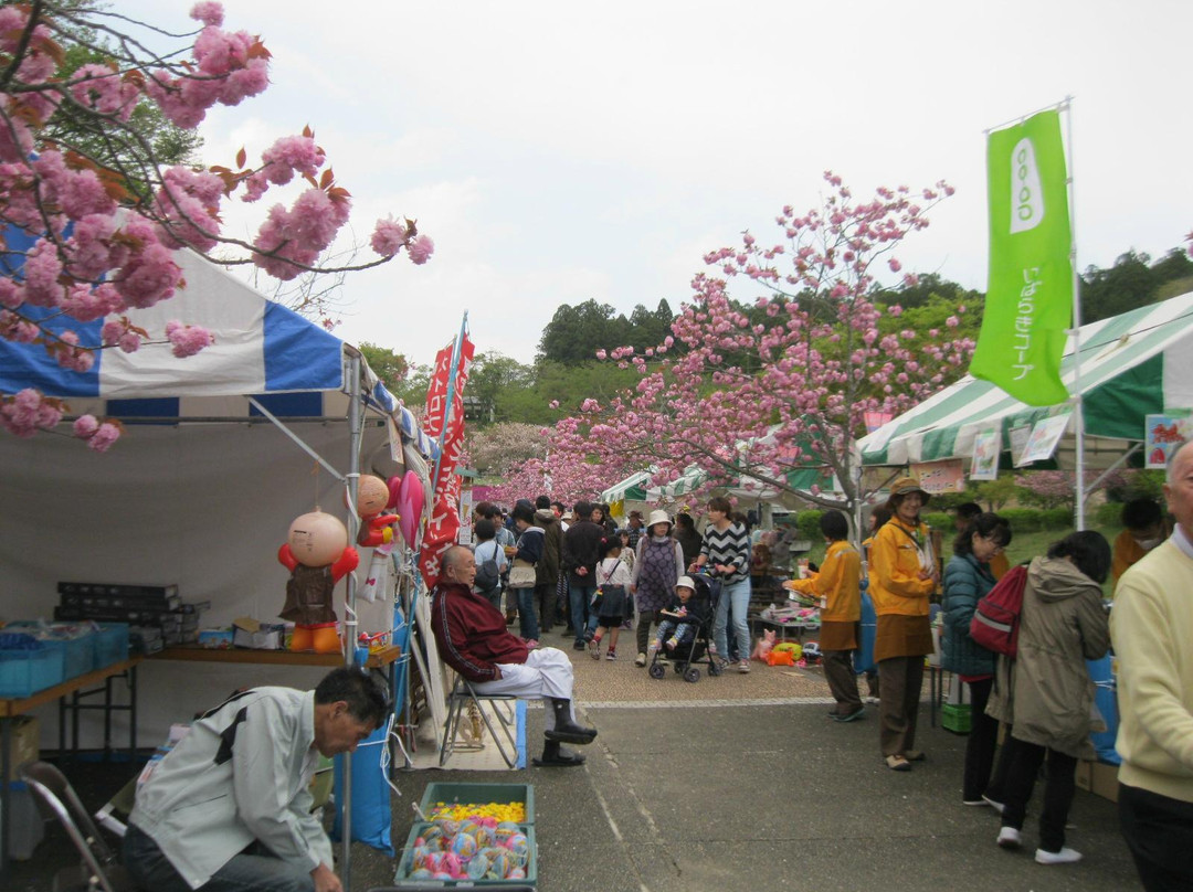 Shizumine Furusato Park景点图片