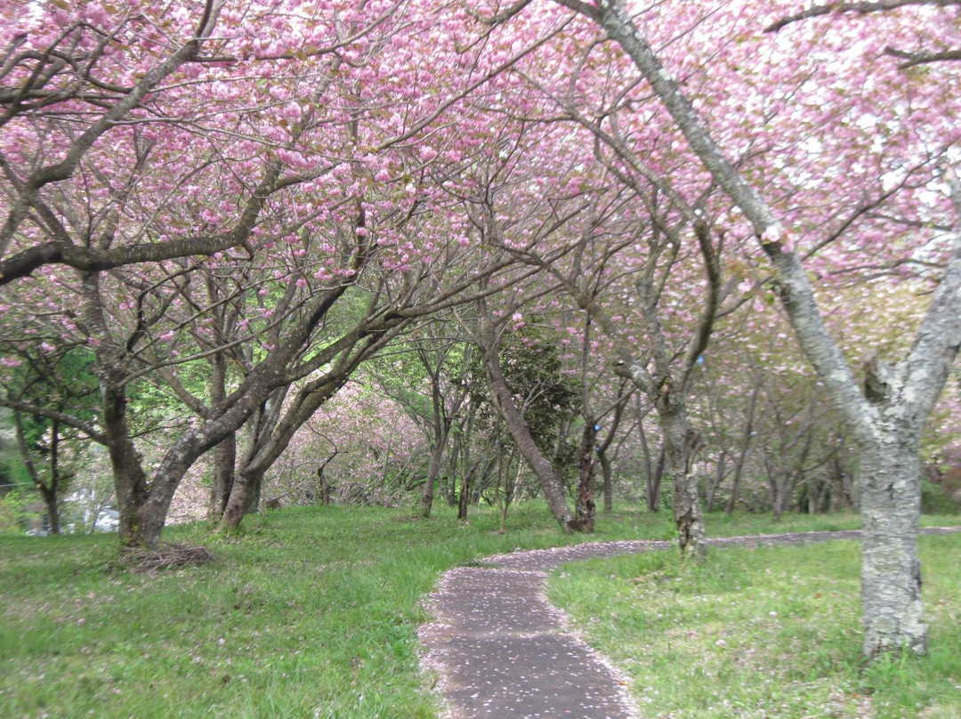 Shizumine Furusato Park景点图片