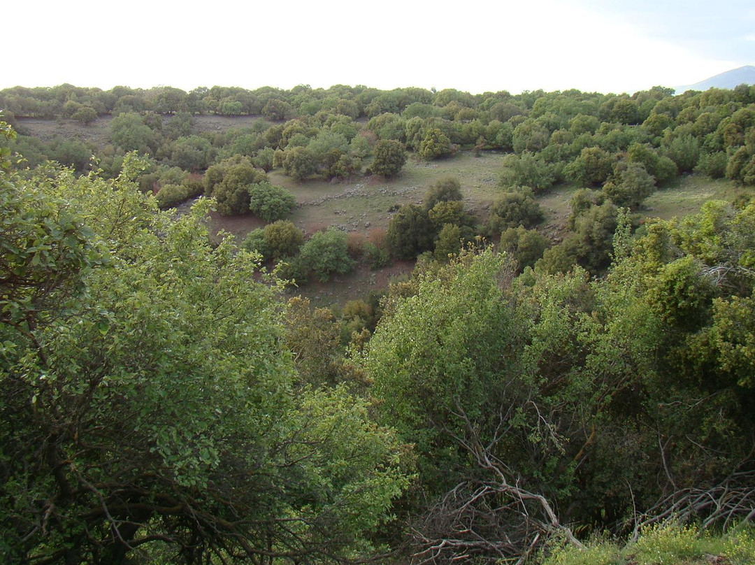 Big Juba in Ya'ar Odem-Odem必去景点