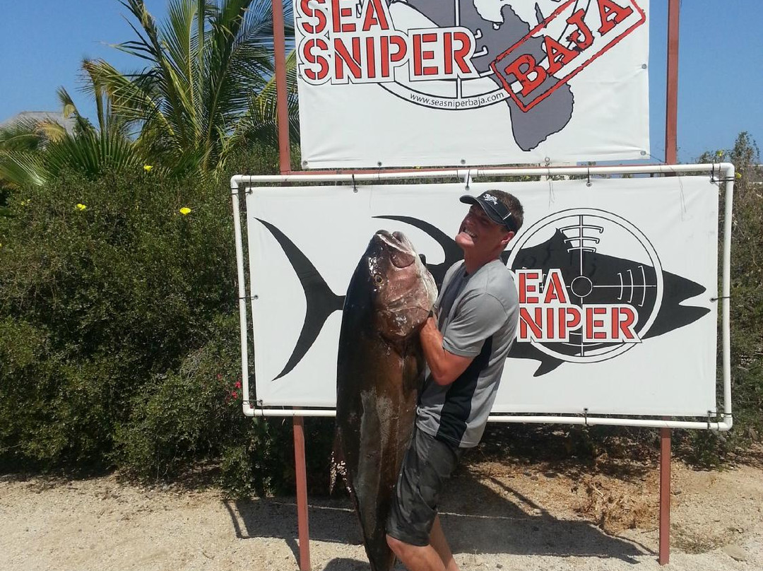 Sea Sniper Baja-El Sargento必去景点