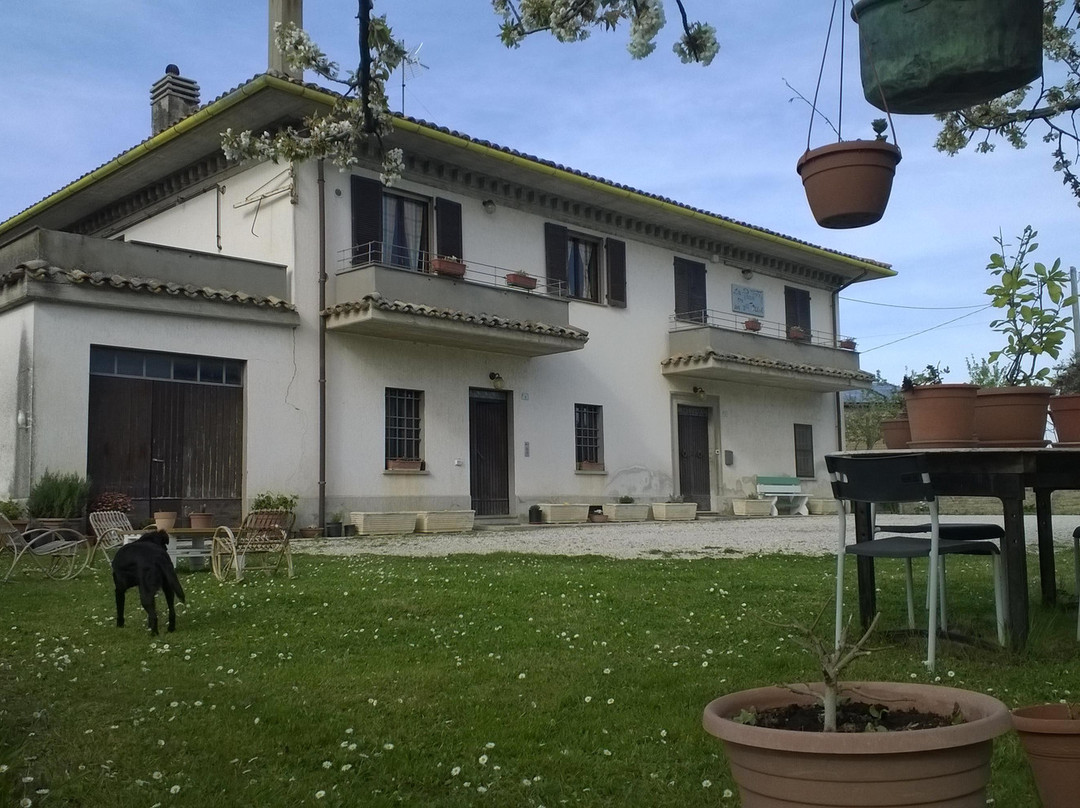 B&B La Pace Tra Gli Olivi