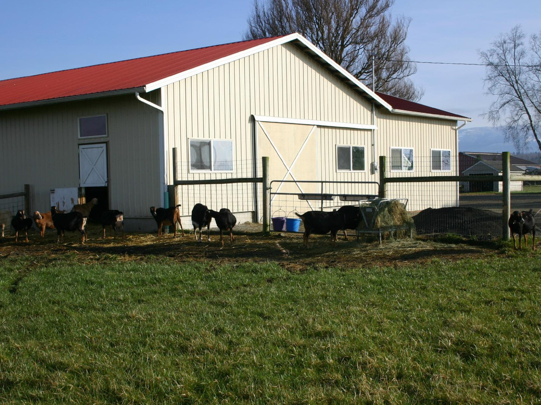 Gothberg Farms-Bow必去景点