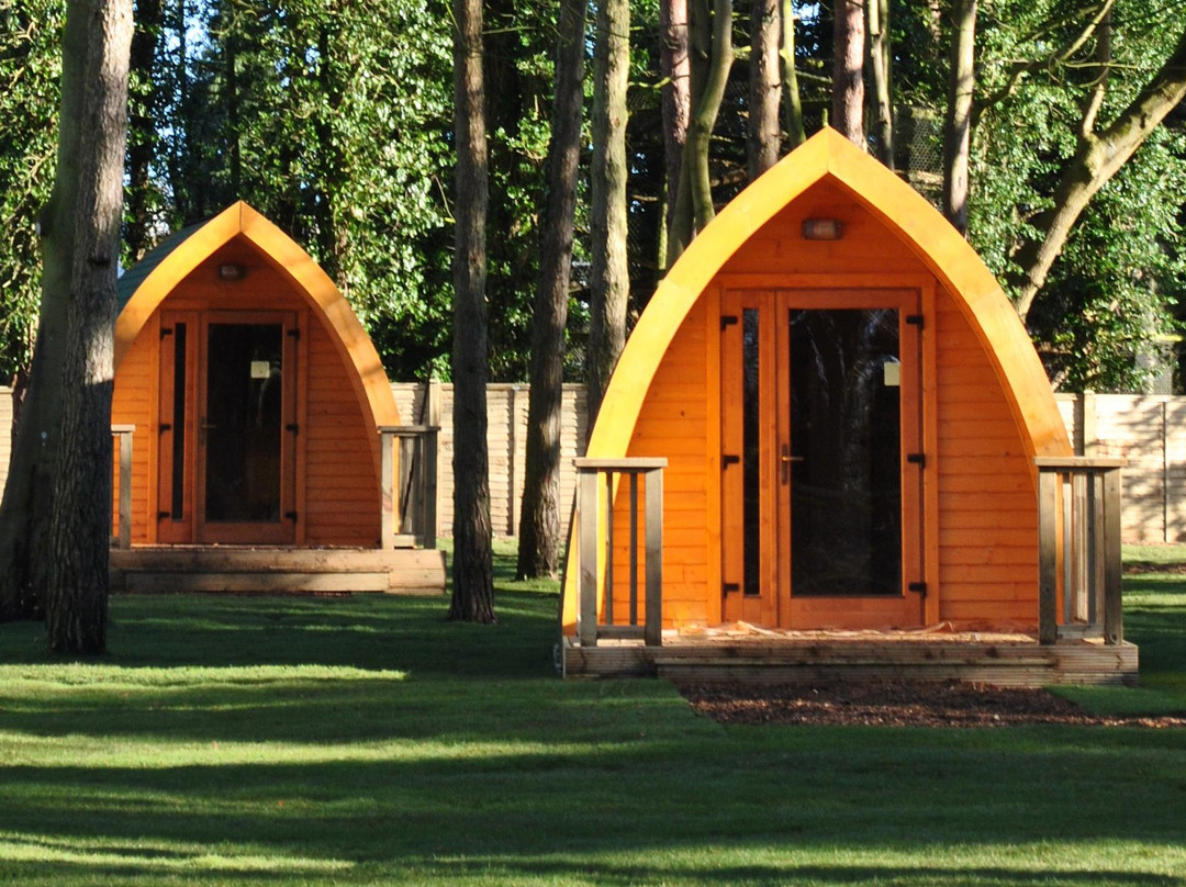 Pinewood Camping Pods