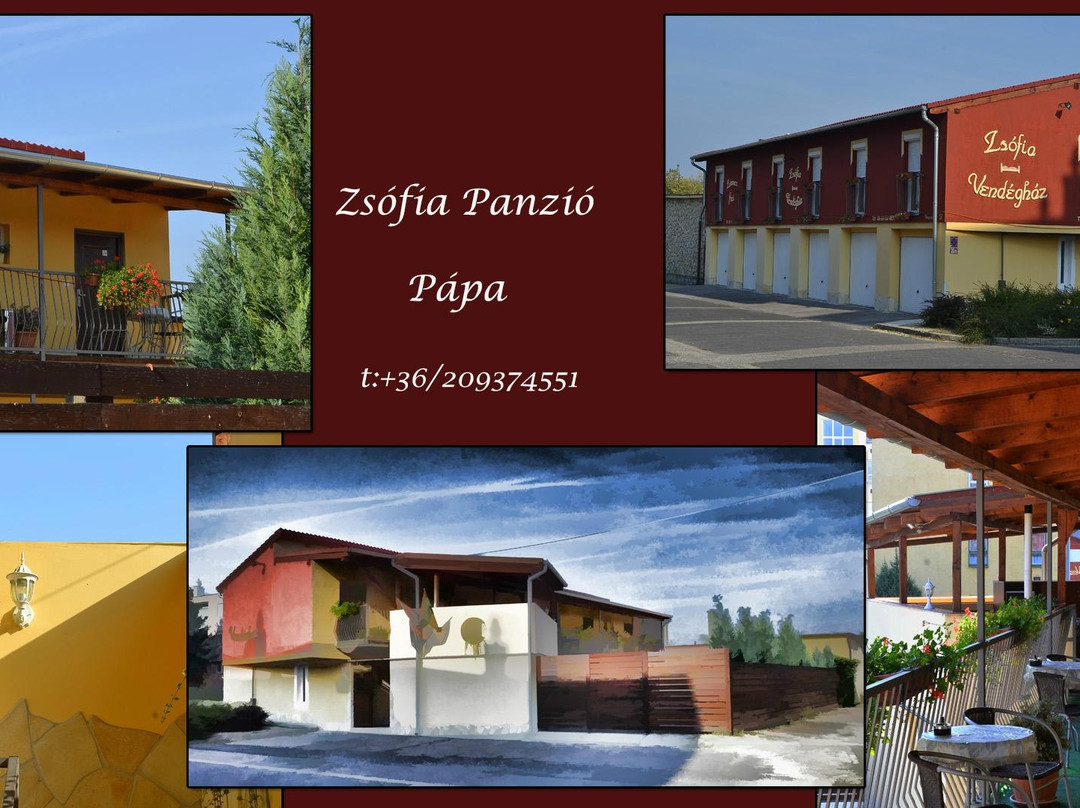 Zsofia Panzio Papa主图