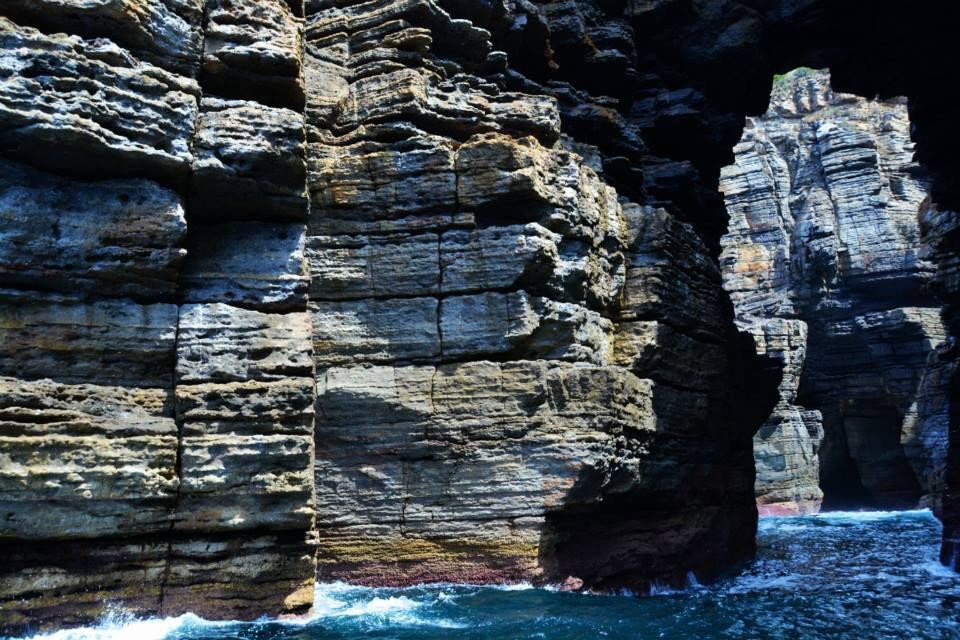 杰维斯湾野生巡航-赫斯基森必去景点