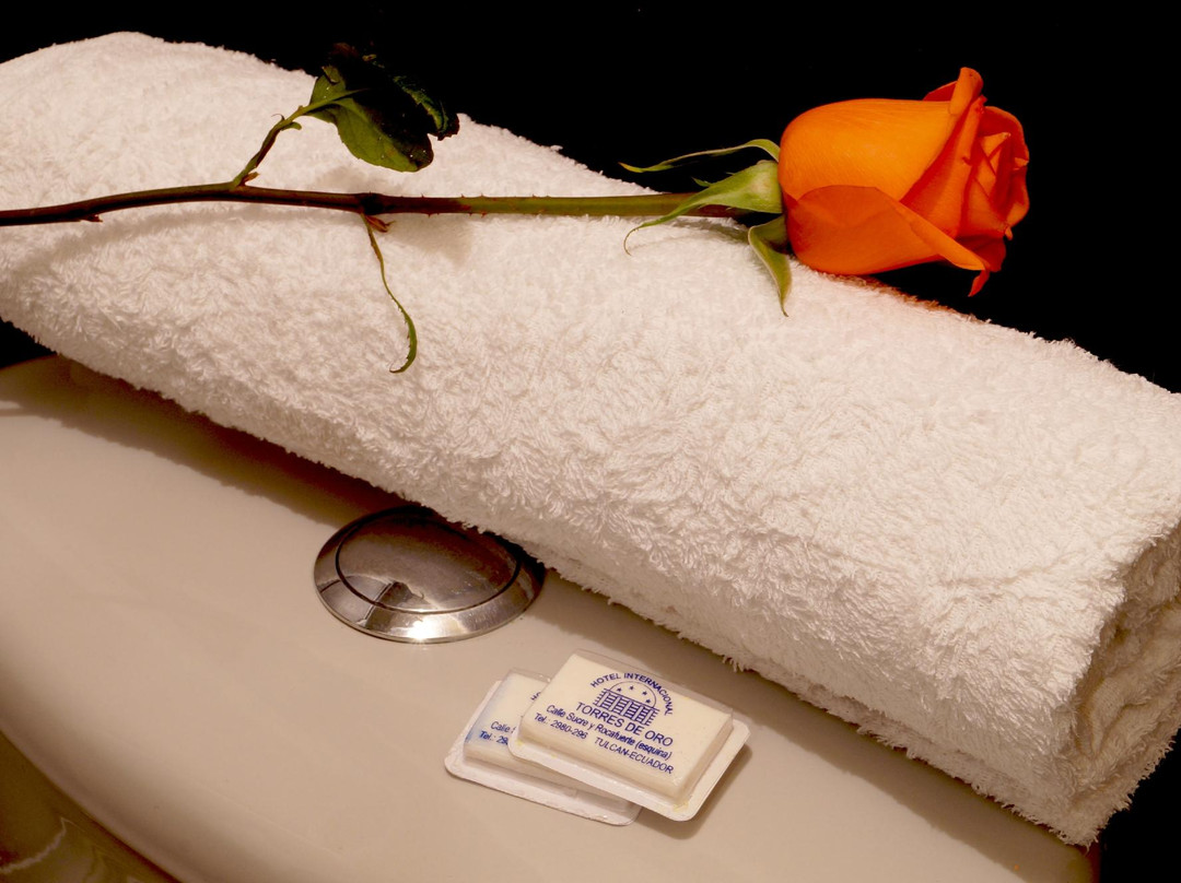 Hotel Torres de Oro主图