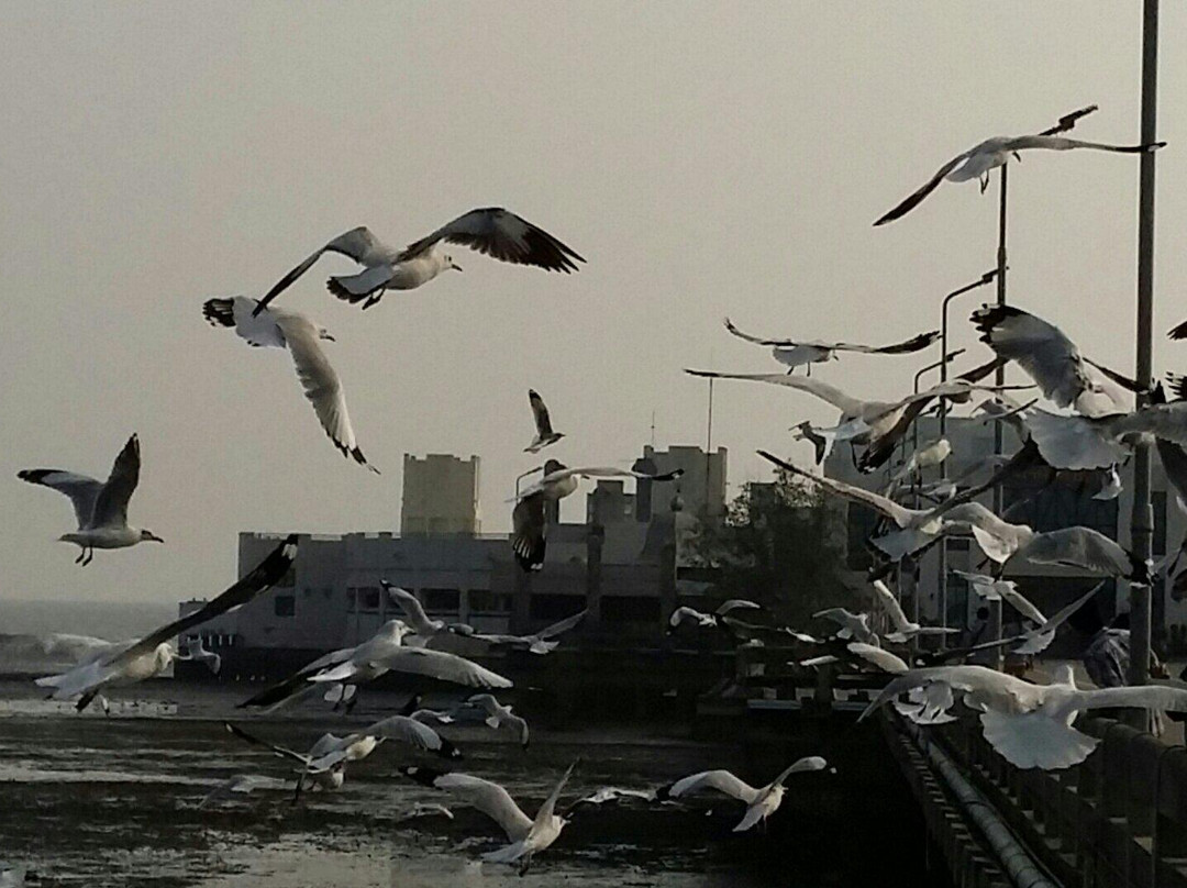 Bangpu Recreation Center-北揽必去景点