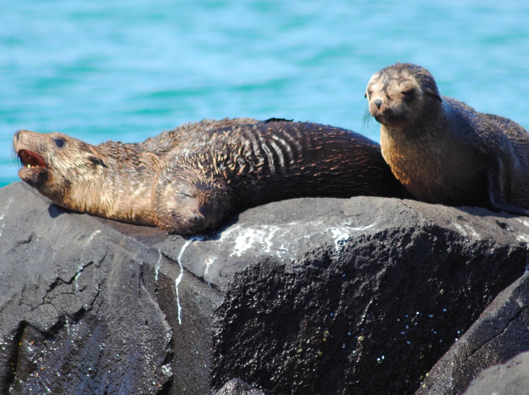 Pope's Eye-皇后崖必去景点