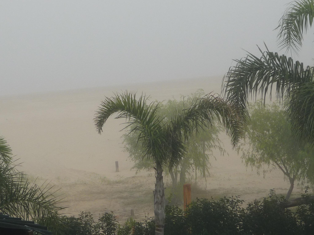 Hotel Buena Vista主图