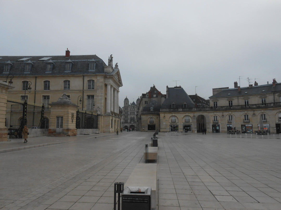 Place de la Liberation景点图片