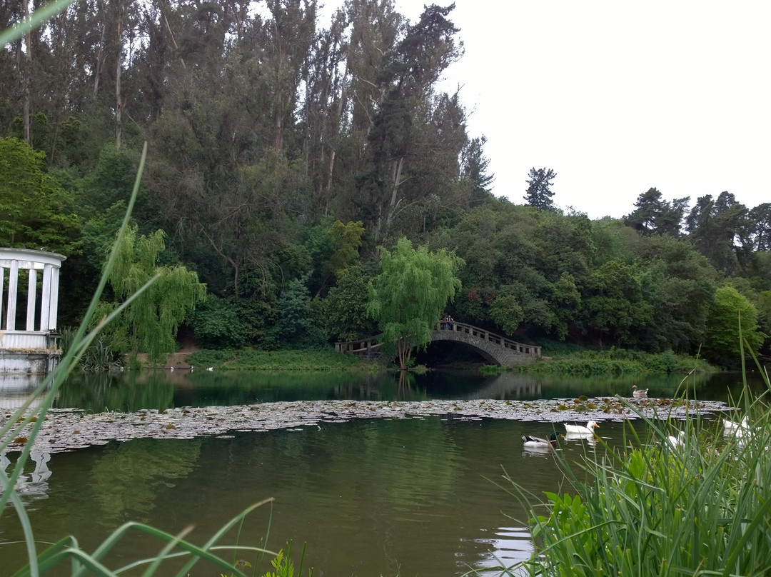 Jardín Botanico Nacional-比尼亚德尔马必去景点