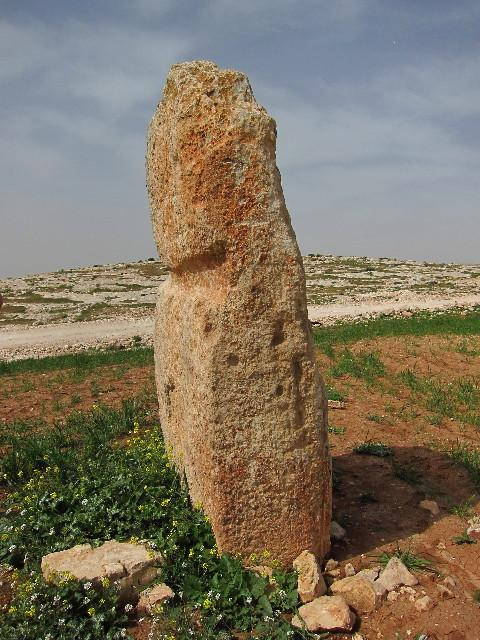Wadi Jadid-米底巴必去景点