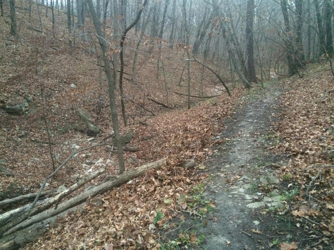 Crowder State Park-Trenton必去景点