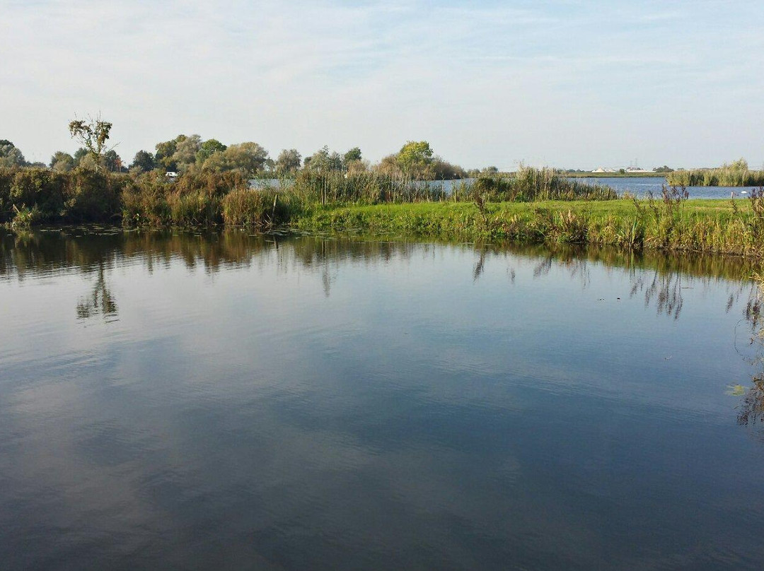 Westerveldse Bos-兹沃勒必去景点