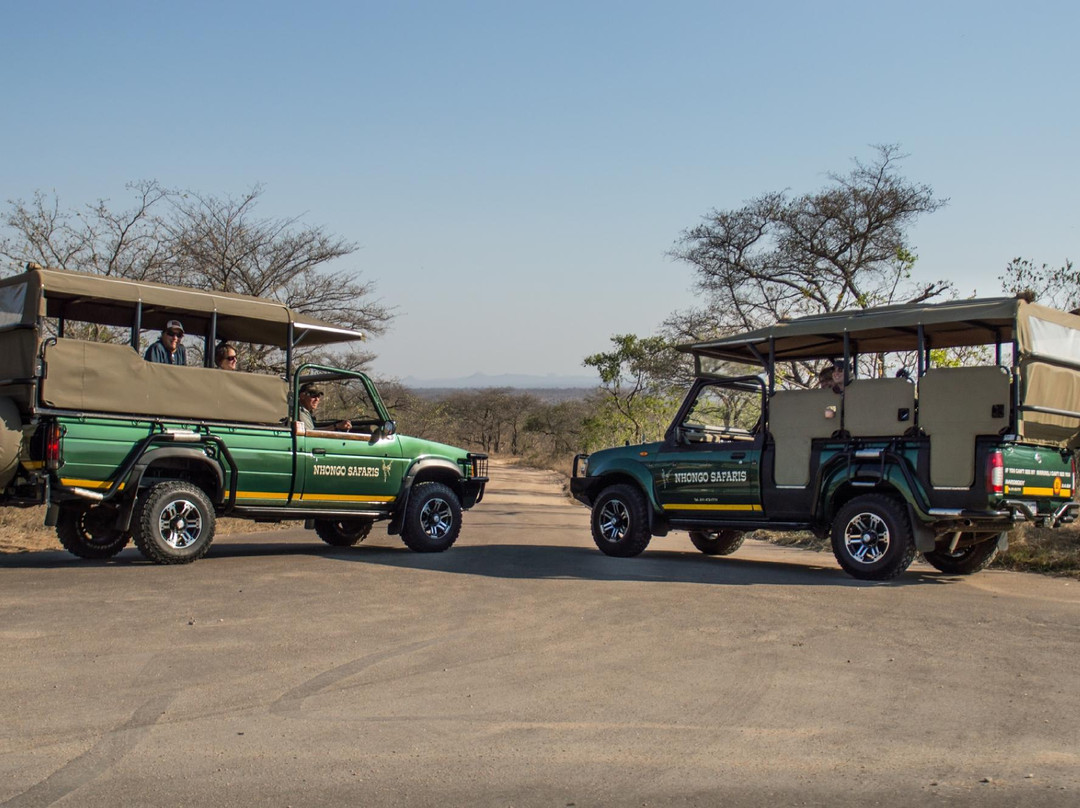 Nhongo Safaris-克鲁格国家公园必去景点