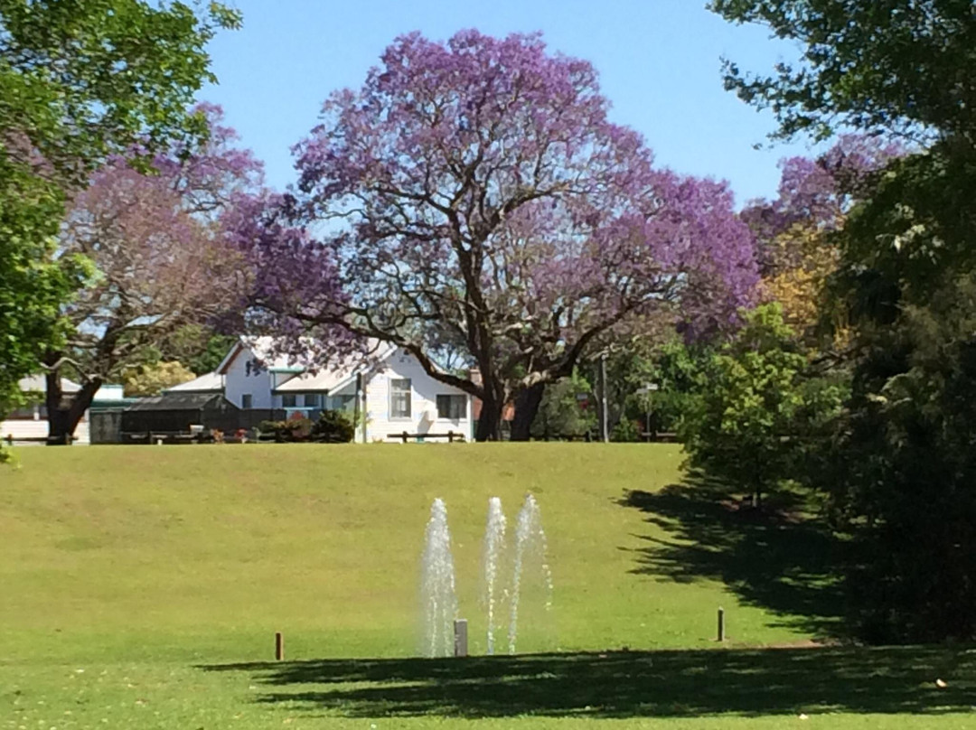 Yamba Tours-Yamba必去景点