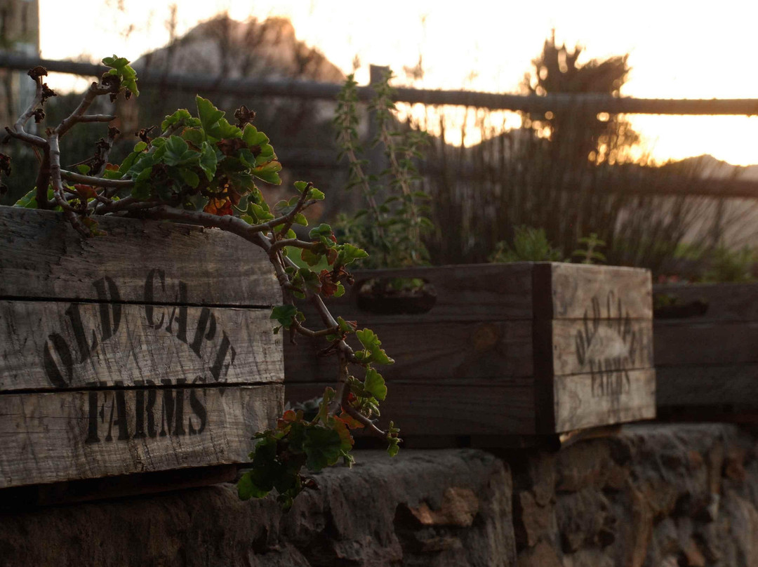 Herold Wine Estate-乔治必去景点