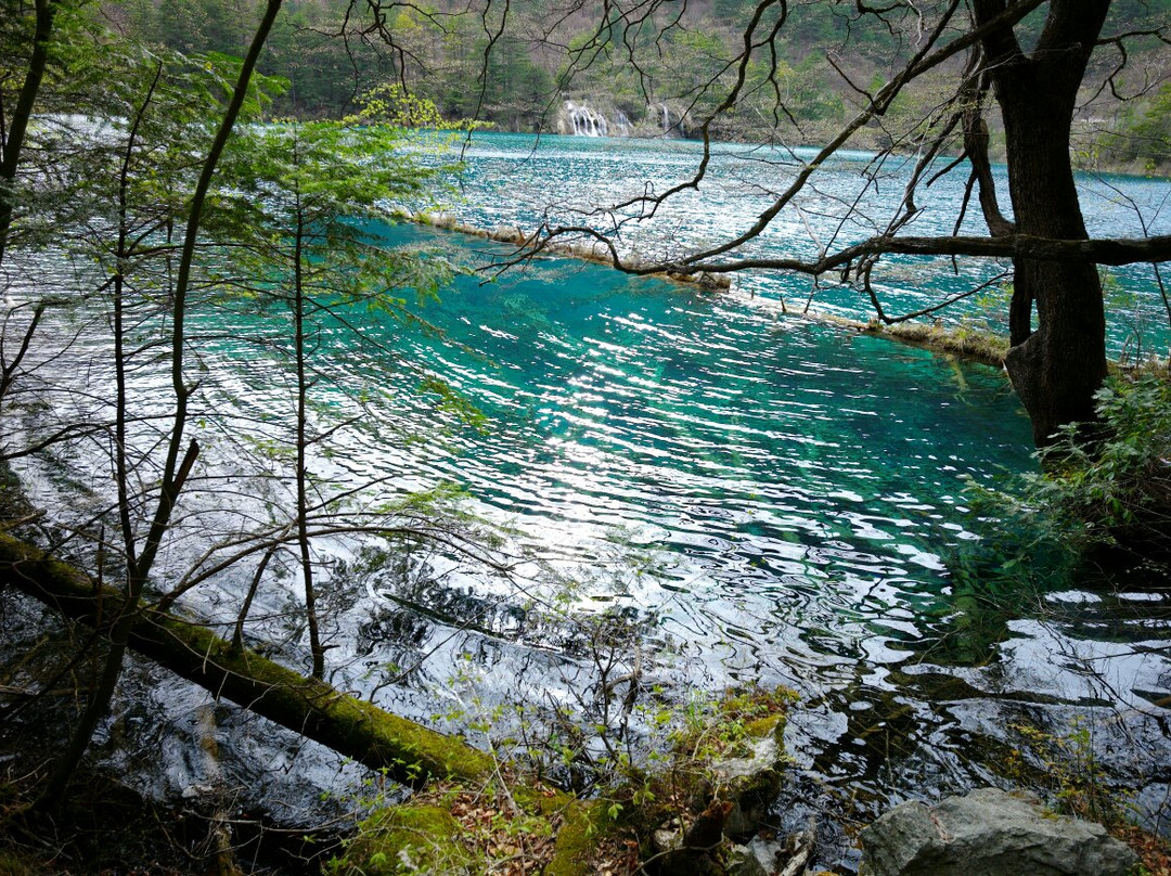 下季节海景点图片