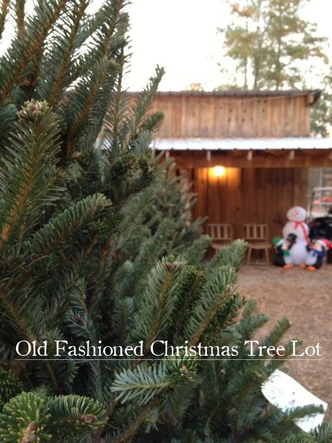 Crooked Pines Farm-Eatonton必去景点