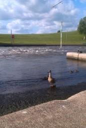 National Water Sports Centre景点图片