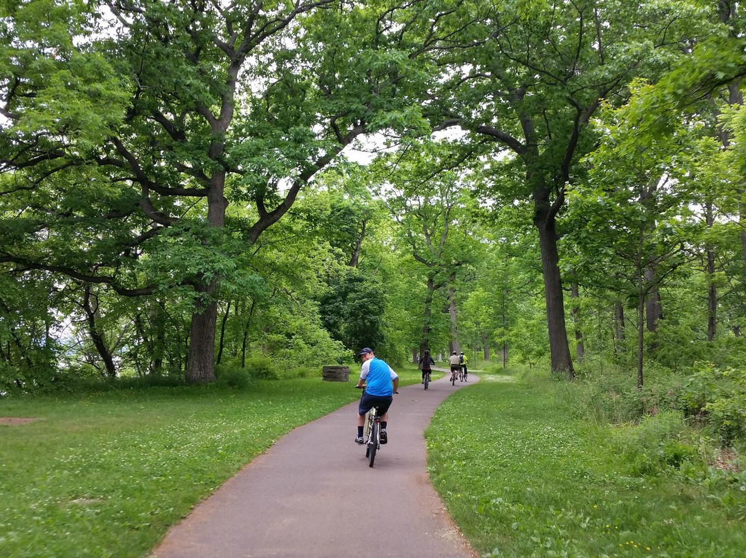 Niagara Getaway Wine Tours-滨湖尼亚加拉必去景点