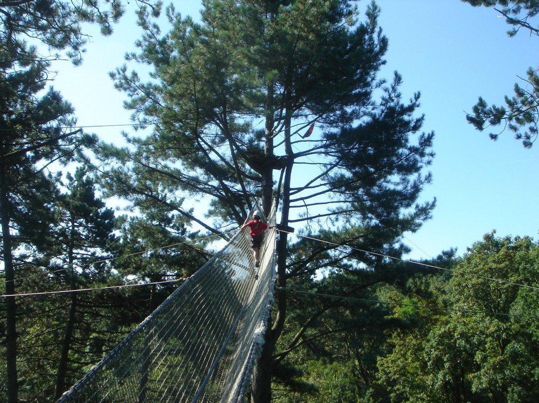 Perching Adventure