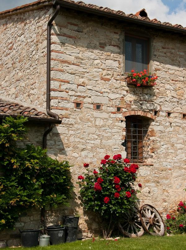 Adine in Chianti
