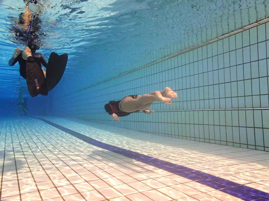 Singapore Freedivers-新加坡必去景点