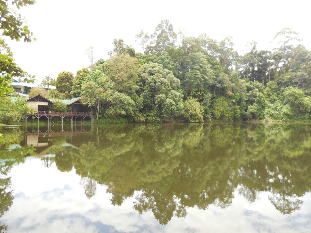 Sandakan Rainforest Discovery Centre (RDC)-山打根必去景点