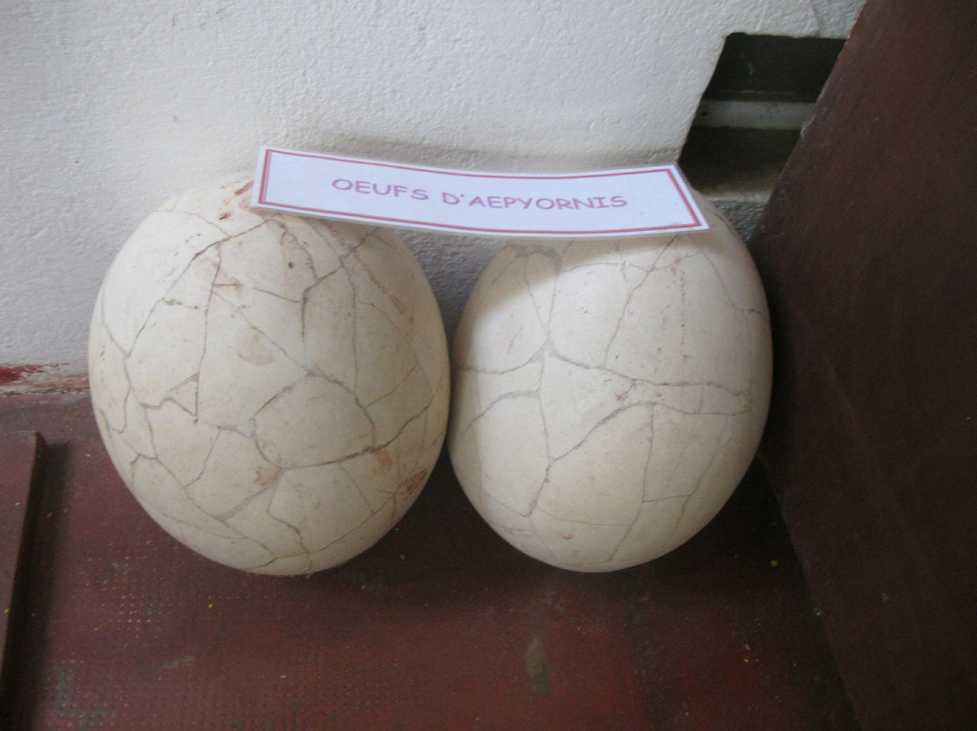 Musee Rabesandratana景点图片