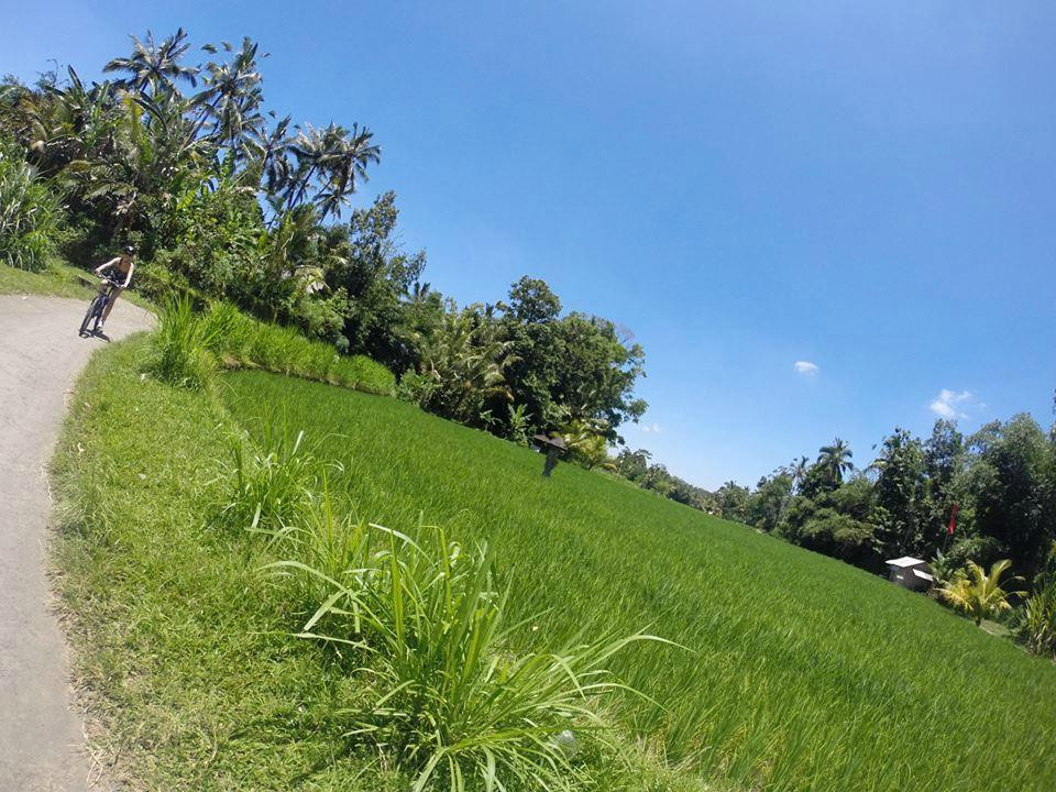 BaliGoBike - Bali Cycling Tours-乌布必去景点