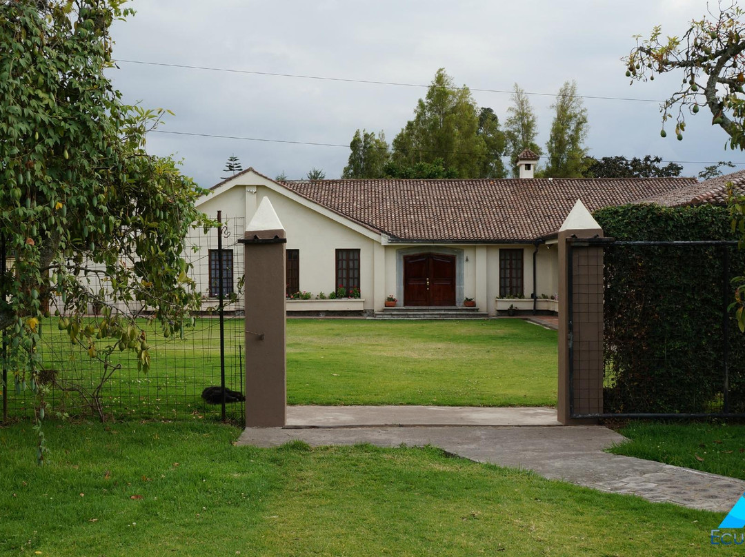 Mountain Views Inn主图