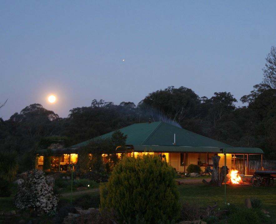 Chesleigh Homestead-官方