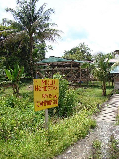 Mulu Tribal Homestay-官方