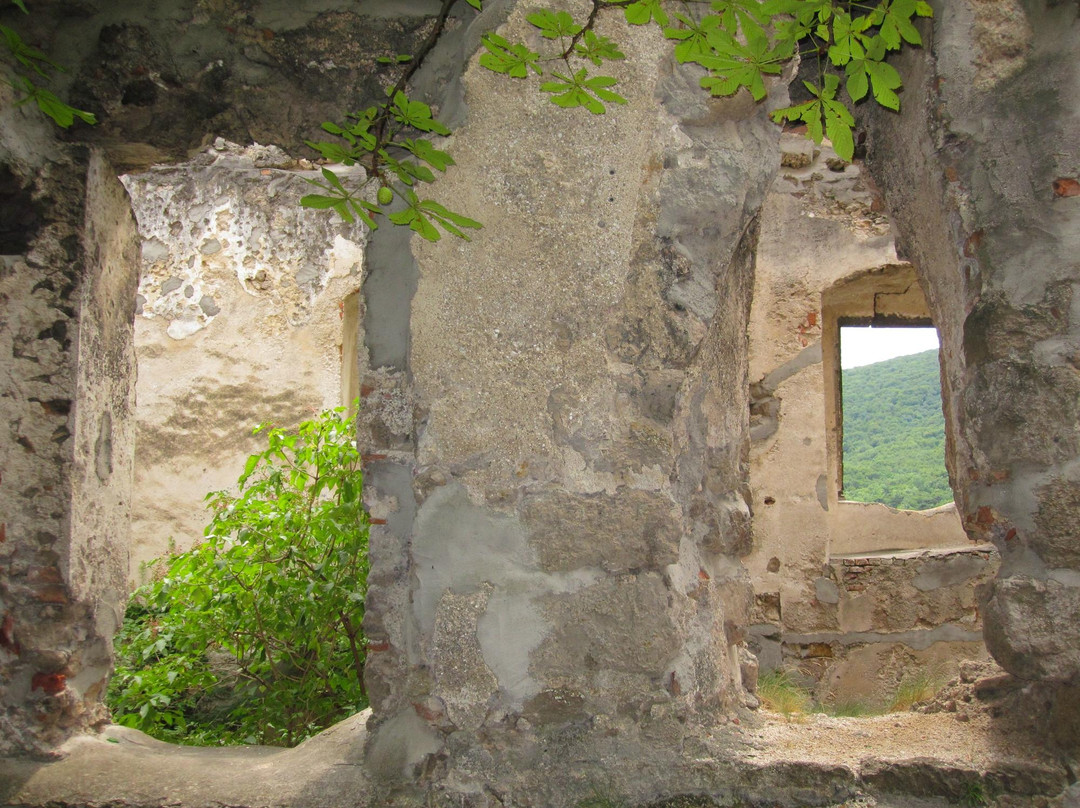 Burgruine Rauhenstein Castle-巴敦必去景点