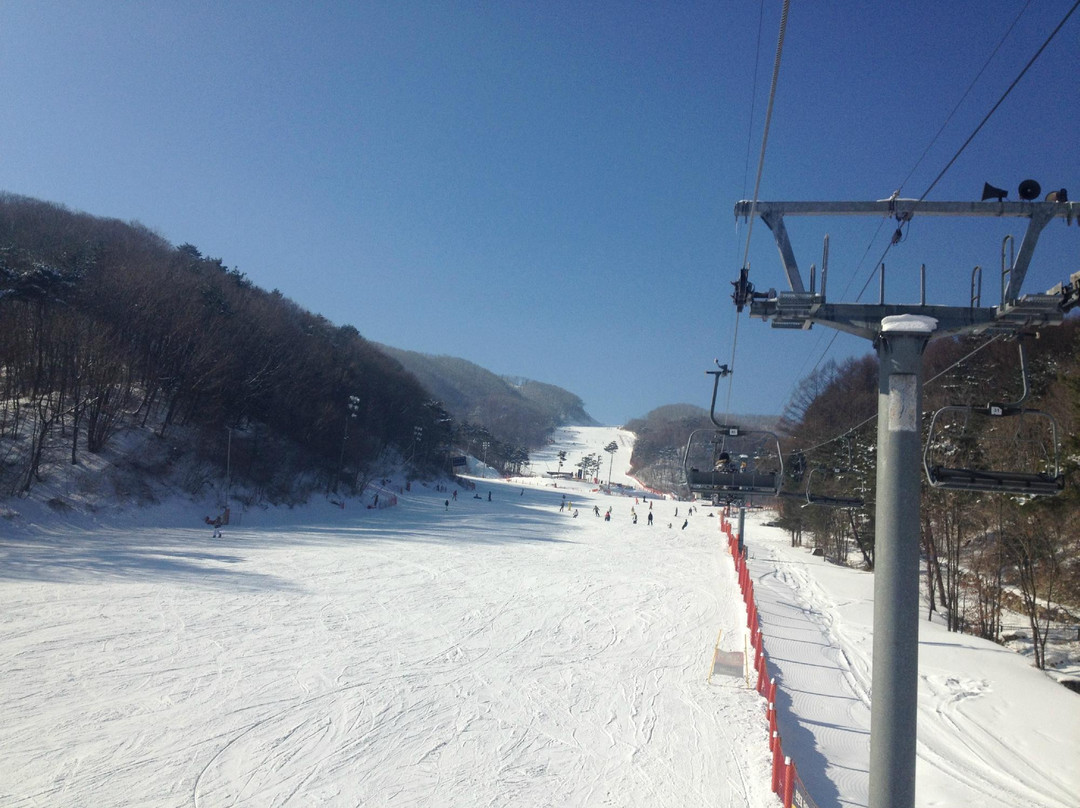 Phoenix Snow Park-平昌郡必去景点