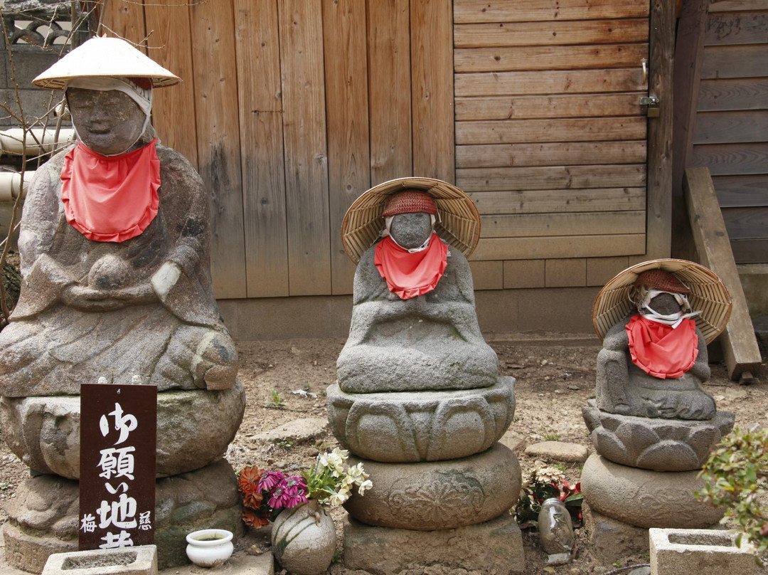 Baio-ji Temple景点图片