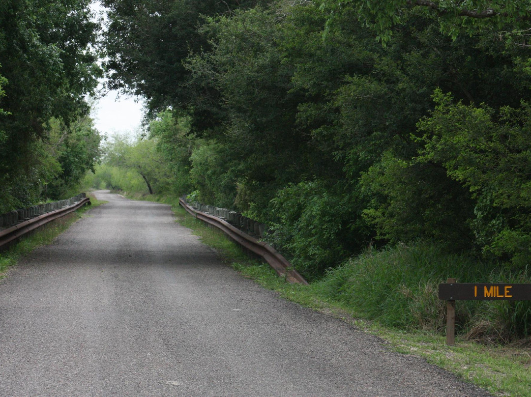 Resaca de la Palma State Park-布朗斯维尔必去景点