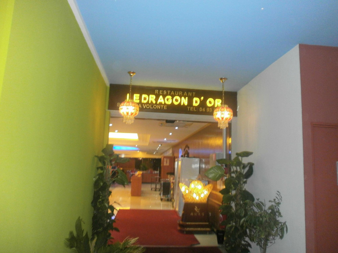 Le Dragon D'Or Restaurant Asiatique