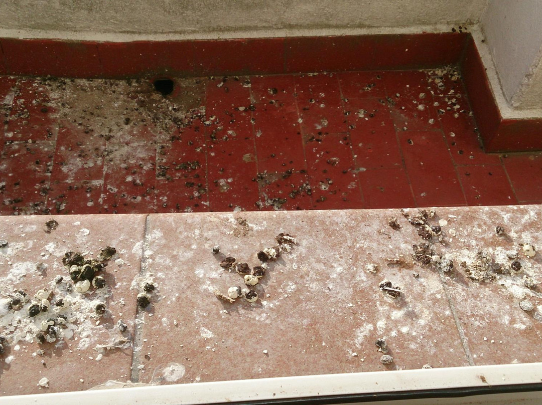 胡安卡洛斯一世酒店主图