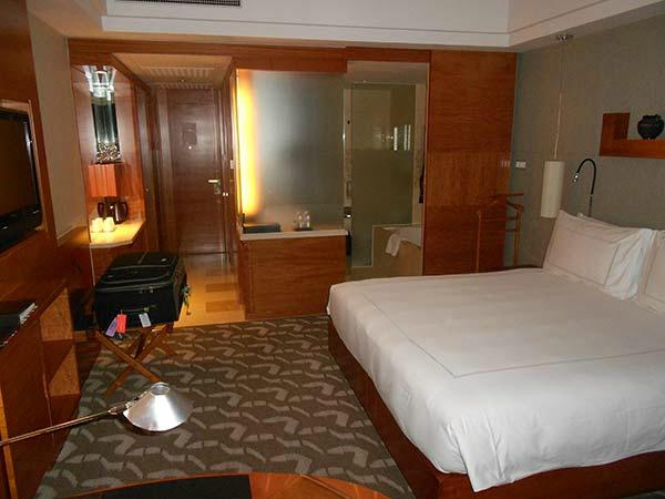 上海宏安瑞士大酒店-客卧