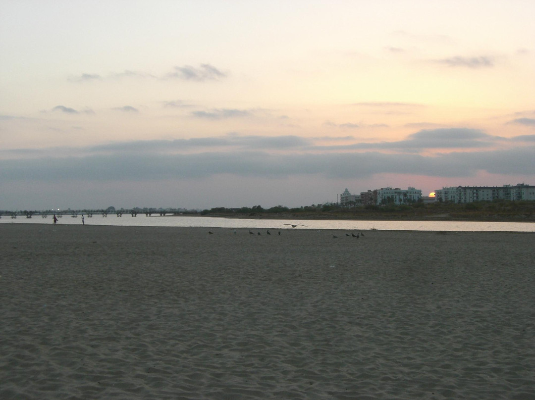 Playa de La Gaviota景点图片