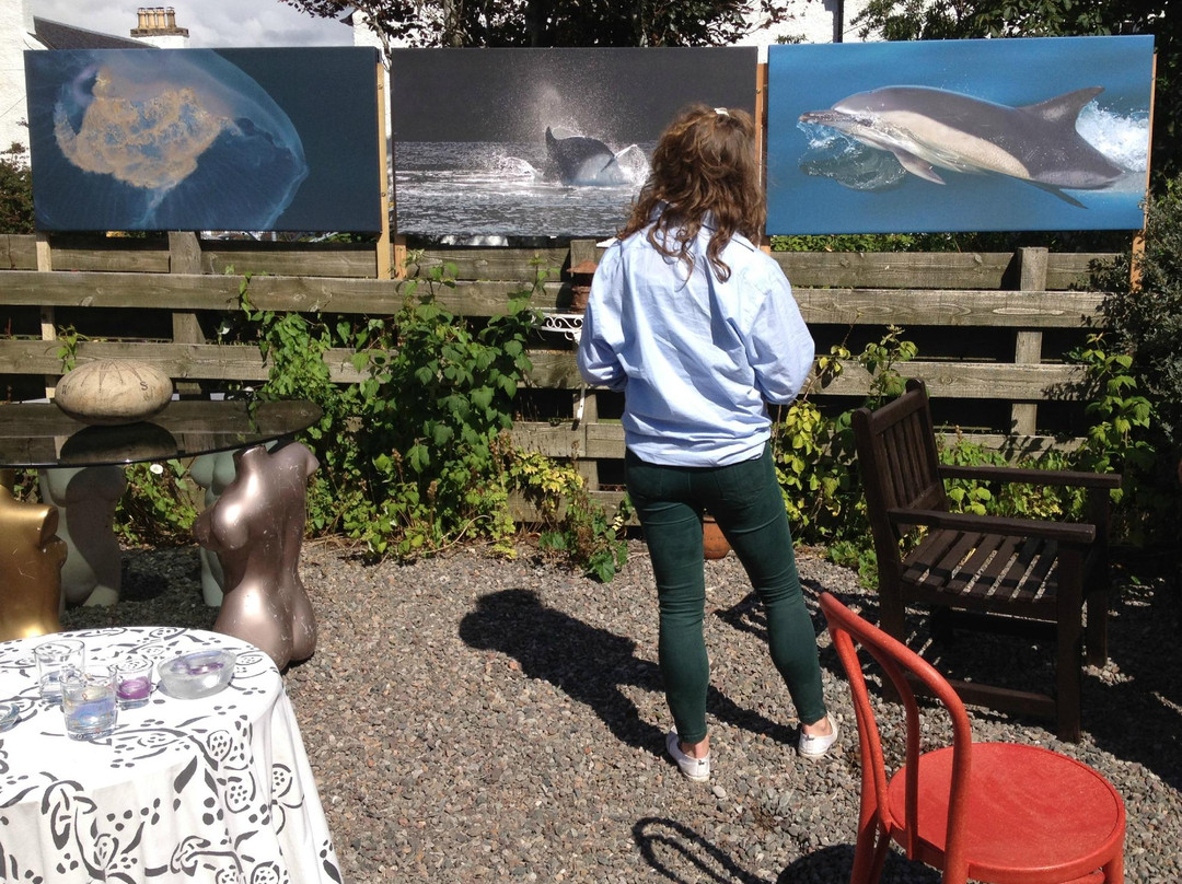 Plockton Gallery - The Manse主图