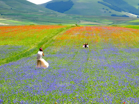 Castelluccio di Norcia旅游攻略图片