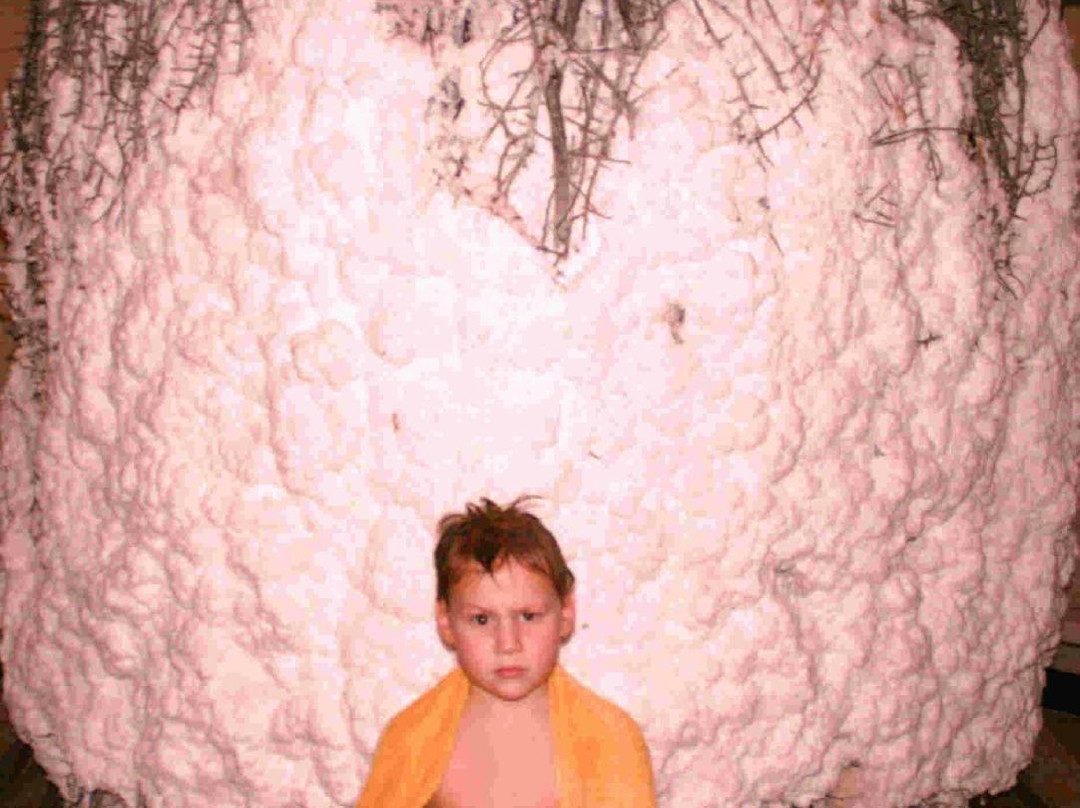 Soltau Therme-索尔陶必去景点